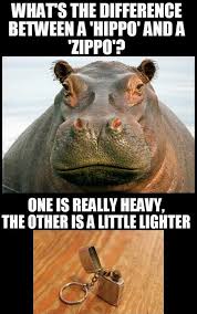 What S The Difference Between A Hippo And A Zippo Funny Puns Jokes Punny Jokes Funny Puns