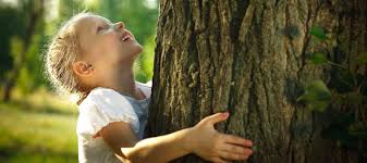 Tj held landscape, inc offers more than 20 years of experience in landscape design, lawn maintenance, tree trimming and snow removal for commercial and residential landscapes in and around rockford, il. Mark S Tree Care Tree Service Rockford Il