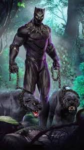 Black Panter Hayvan Ilustrasyonlari Siyah Panter Panter