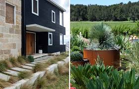 Drought tolerant plants are those that can survive these extended periods of dryness. Diy Ideas How To Build A Drought Tolerant Garden Modularwalls