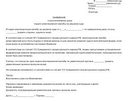 Obzhalovanie Resheniya Suda Poryadok Sroki Osobennosti Perechen Dokumentov