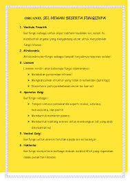 We did not find results for: Doc Organel Sel Hewan Beserta Fungsinya Angelina Nirmala Academia Edu