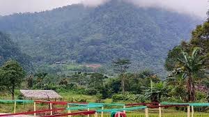 Awalnya bank rakyat indonesia (bri) didirikan di purwokerto, jawa tengah oleh raden bei aria wirjaatmadja dengan nama de poerwokertosche hulp en spaarbank der. Wisata Sabah Simelir Berswafoto Di Tengah Hamparan Sawah Dan Berlatarbelakang Bukit Indah Tribun Medan