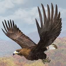 Golden Eagle 2 3d Model In 2020 Golden Eagle Eagle Golden Eagle Flying