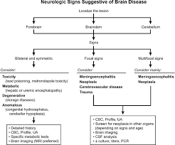 Image result for Neurologic Lesion Localization