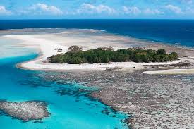 The great barrier reef is the world's largest reef system12 composed of over 2,900 individual reefs3 and 900 islands stretching for over 2,600 kilometres (1,600 mi). Why Is The Great Barrier Reef So Important