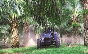 Semua jenis tanaman akan memberikan produksi yang maksimal apabila kondisi tanah, iklim dan perawatan yang. Berita Sawit Mestikah Perkebunan Kelapa Sawit Terapkan Mekanisasi
