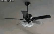 Check spelling or type a new query. Ceiling Fan Funny Gifs Tenor