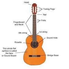Huge selection of top brand guitar bass electronics pickups parts hardware. Music Instrument Acoustic Electric Guitar Parts Diagram