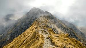 Marcajul turistic incepe de langa cabana groapa seaca, unde iti si poti lasa masina cu aceasta acest varf e considerat cel mai inalt varf populat din romania. Cele Mai Inalte 13 Varfuri Din Romania Care DepÄƒÈ™esc 2500 De Metri Pemeleaguri Ro