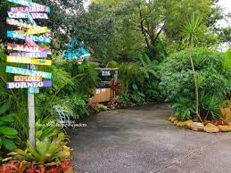 Beautiful Lush Tropical Garden Bali Inspired Garden In Florida I Love My Home Ourhomevibe Puravidatr Beautiful Home Gardens Tropical Garden Garden Design