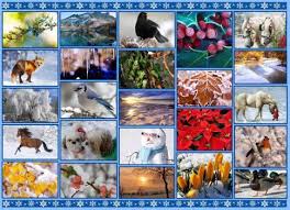 Check spelling or type a new query. A 192 Pieces Jigsaw Puzzle From Jigidi In 2021 Online Puzzles Jigsaw Puzzles Winter Colors