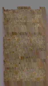 Image result for Coronopus integrifolius