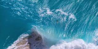 She is the brilliance behind the photos used in this post. 6 Startups That Are Helping To Save The Oceans While Still Making Money Ocean Action Hub