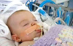 Botulism is classified as one of the most serious illnesses and is transmitted through Botulisme Bayi