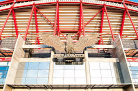We did not find results for: Hd Wallpaper Lisboa Portugal Estadio Sport Lisboa E Benfica Aguila Travel Wallpaper Flare
