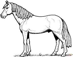 The spruce / wenjia tang take a break and have some fun with this collection of free, printable co. Horse Coloring Pages Coloring Pages Printable And Template Horse Coloring Pages Horse Coloring Horse Cartoon
