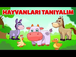 Hayvanlari Ve Seslerini Taniyalim Bebek Sarkisi Kirmizi Tren Kloppi Sarkilari Youtube Sarkilar Hayvan Bebek