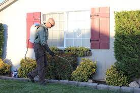Pests, weeds and diseases (pests) pose serious risk for primary producers as they can impact on market access and agricultural production. Green Monster Pest Weed Pest Control Mesa Az Weed Control