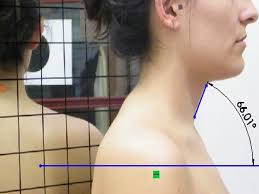 Trabalhos Relevantes