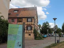 Suivi de l'exécution de la loi de finances en dépenses pour l'année 2020. Radtouren Mountainbike Im Elsass Selestat Frankreich Selestat Tourisme Haut Koenigsbourg