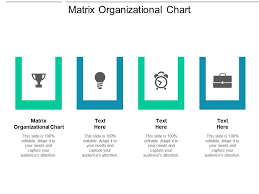 Matrix Organizational Chart Ppt Powerpoint Presentation
