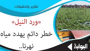 البوابة نيوز ورد النيل خطر دائم يهدد مياه نهرنا ملف