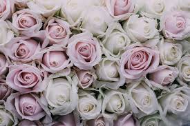 Maybe you would like to learn more about one of these? Say It With Flowers In Corpus Christi
