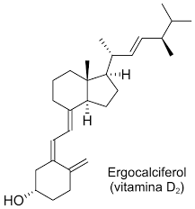 Vitamina D Wikipedia La Enciclopedia Libre En 2021 Vitamina D Vitamina E Enciclopedias