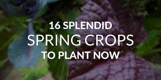 Check spelling or type a new query. When Is The Best Time To Start Your Garden