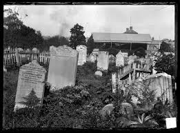 Death And Dying In Nineteenth Century Sydney The Dictionary Of Sydney