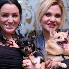 Marriage is going to the dogs: Chihuahua and Pomeranian to wed in NYC