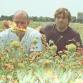 Gillian Welch, Penny and Sparrow, David Rawlings