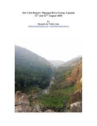 Image result for Maerua duchesnei