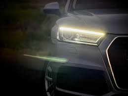 Image result for Azorean Green 2017 Q5