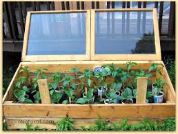 World seed supply's venting technique. How To Start Seeds Tips For Growing Indoors