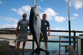 Ascension is the #1 classless online game. Ascension Global Fishing Adventures