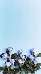Cutewallpapers Floral Wallpaper Iphone Floral Wallpaper Phone Pretty Wallpapers