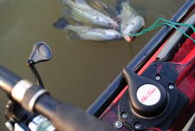 We did not find results for: Pedal Fish Catch Old Town Predator Pdl Kayak Review Gearjunkie