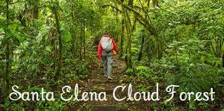 Santa elena cloud forest reserve. Santa Elena Cloud Forest Reserve The Cloud Forest Guide