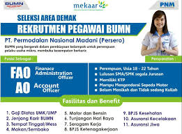 Soal Tes Pnm Mekaar Studi Indonesia