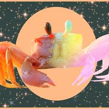 Each zodiac sign's unique personality, explained by an astrologer. Cancer Horoscope Beauty Photos Trends News Allure
