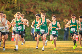Lobo boys, girls sixth at 10-6A XC meet