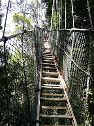 Check spelling or type a new query. What To Do And See In Jerantut Malaysia The Best Places And Tips