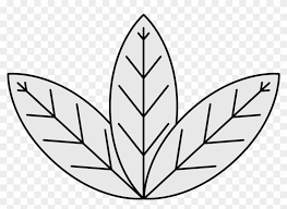 File - Easy To Draw Tobacco Plant - Free Transparent Png Clipart Images  Download