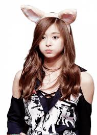 Rabbit ear design, with earflap, photo propstotal length: Twice Tzuyu Bunny Ears Pnglib Free Png Library
