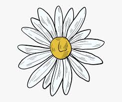 Colored pencils vary greatly in price and quality. Flower Birds Eye View Drawing Hd Png Download Transparent Png Image Pngitem