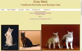 Pedigree lines is very nice and from europe and american. North America Burmese Cat Breeders Directory O Kitty