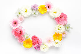 花言葉でHAPPYに！『幸せ』や『幸福』の意味をもつ未来を運ぶ草花たち | 金魚のおもちゃ箱