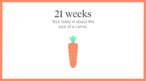 21 (2008 film), starring kevin spacey, laurence fishburne, jim sturgess, and kate bosworth. 21 Weeks Pregnant Symptoms Tips And More